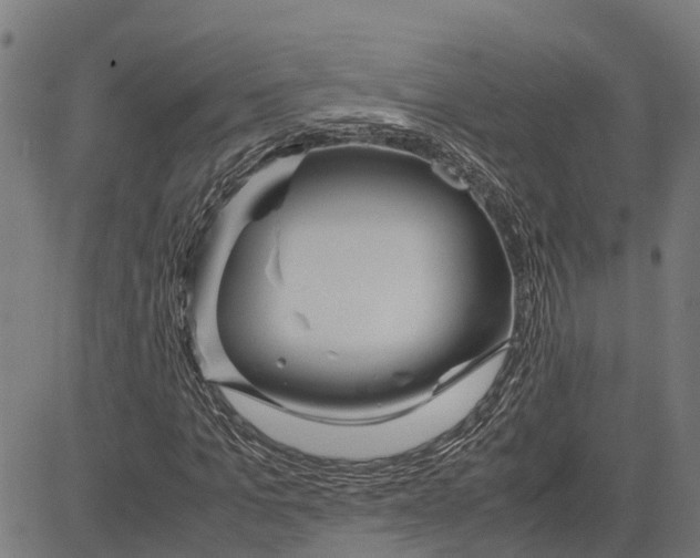 X0000083620965200703121624