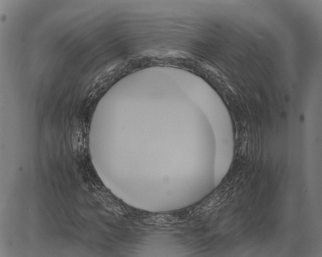 X0000083620966200703121624