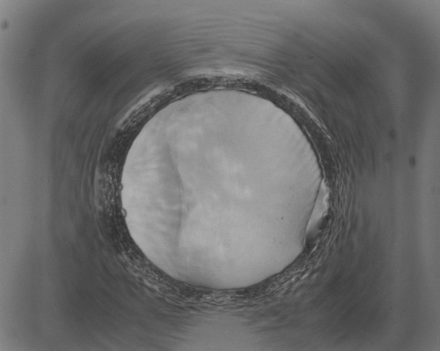 X0000083620967200703121624