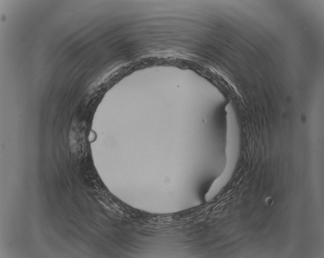 X0000083620968200703121624