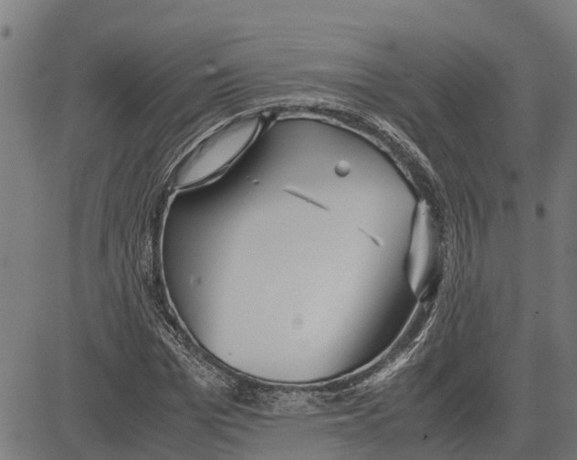 X0000083620969200703121624