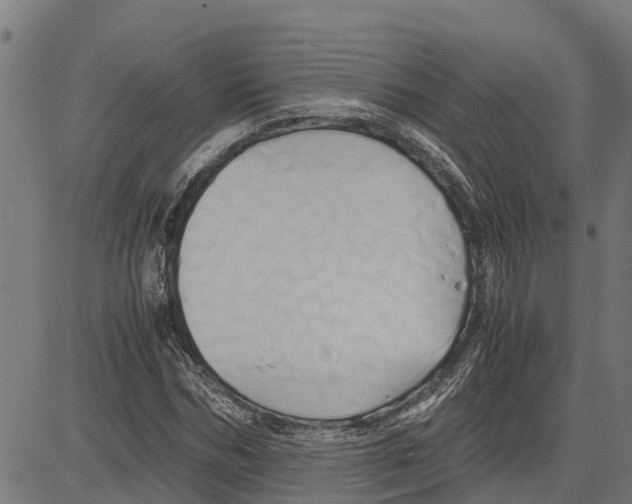 X0000083620970200703121624