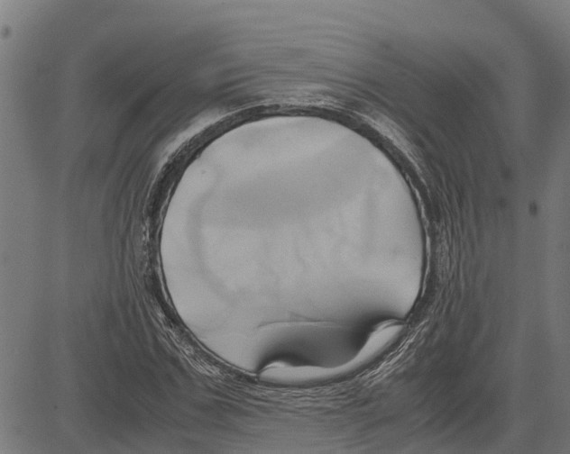 X0000083620971200703121624