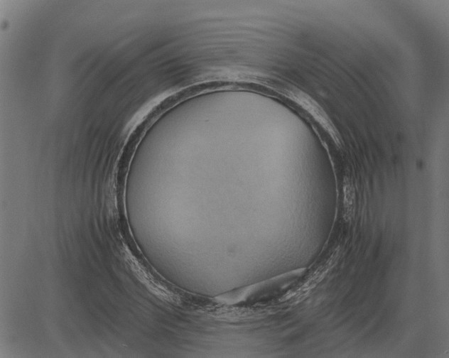 X0000083620972200703121624