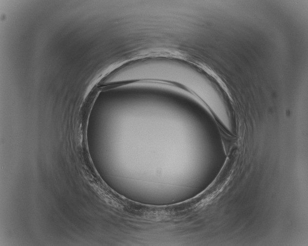 X0000083620973200703121624