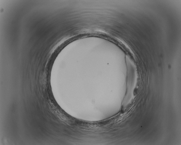 X0000083620975200703121624