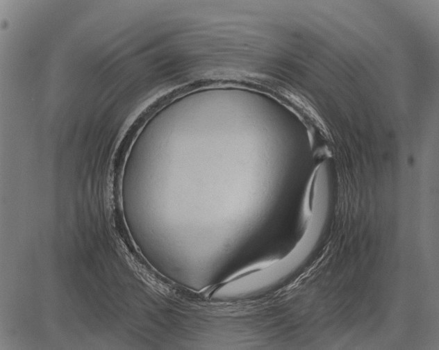 X0000083620976200703121624