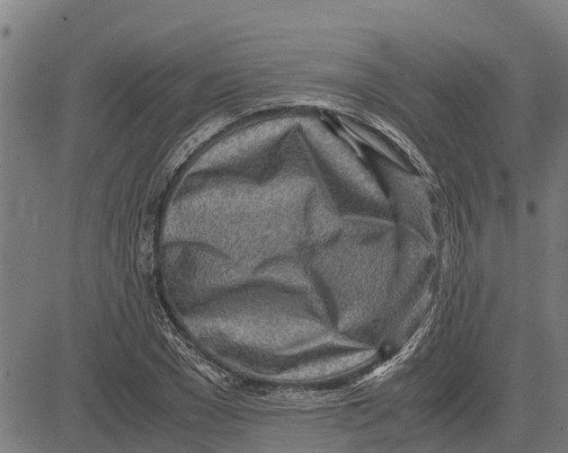 X0000083620977200703121624