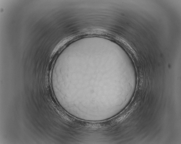 X0000083620978200703121624