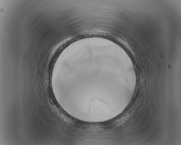 X0000083620979200703121624