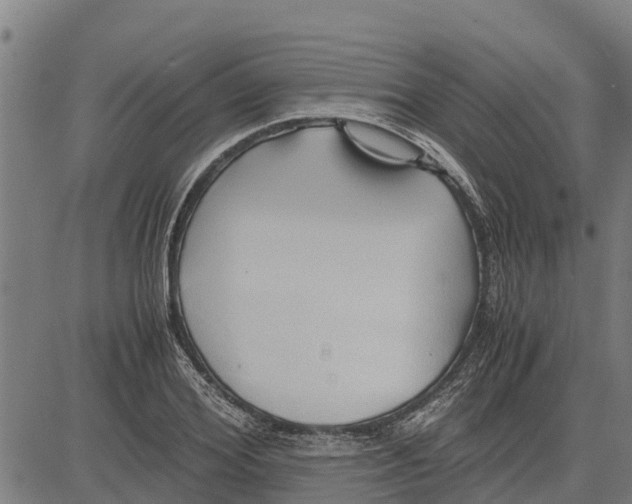 X0000083620980200703121624