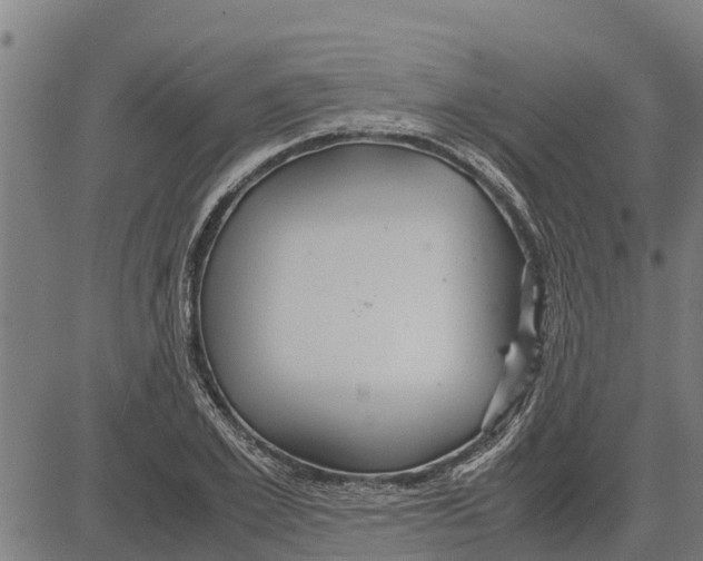 X0000083620981200703121624