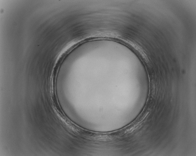 X0000083620982200703121624