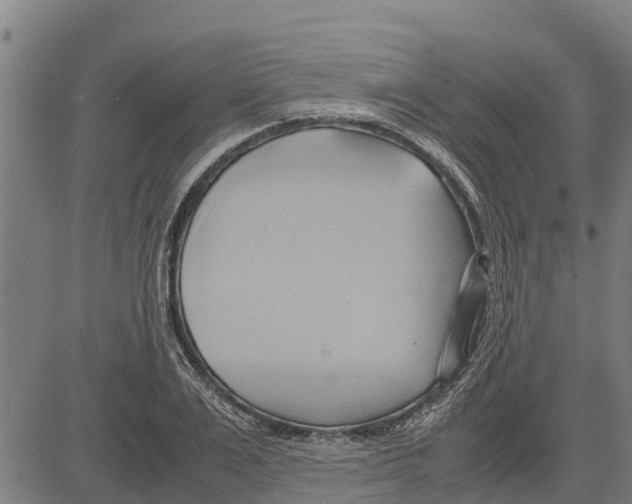 X0000083620983200703121624