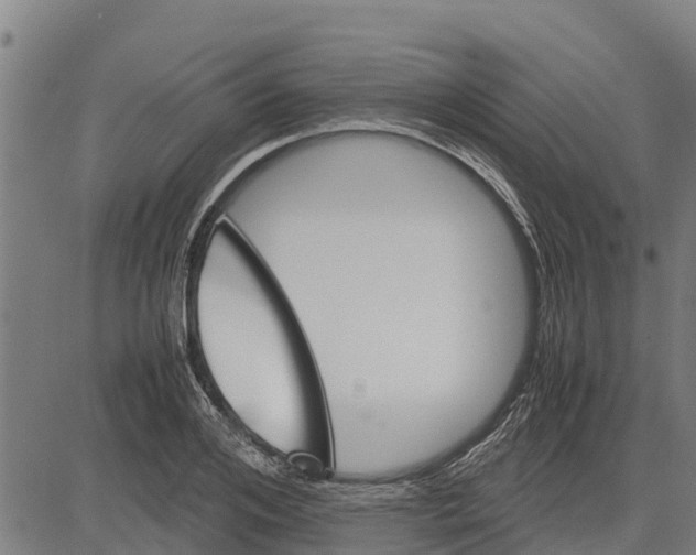 X0000083620984200703121624