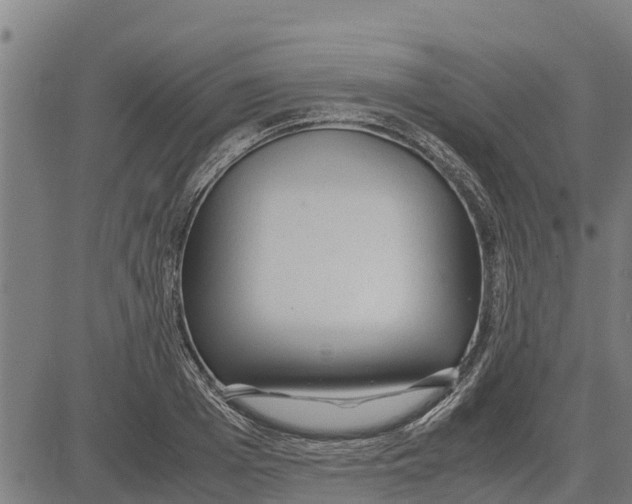 X0000083620985200703121624