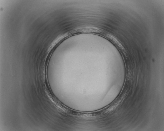 X0000083620986200703121624