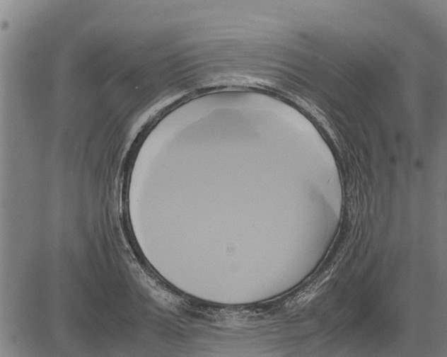 X0000083620987200703121624