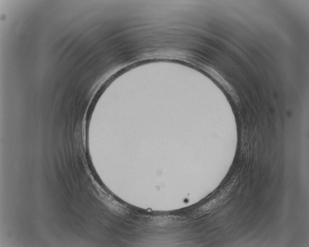 X0000083620988200703121624