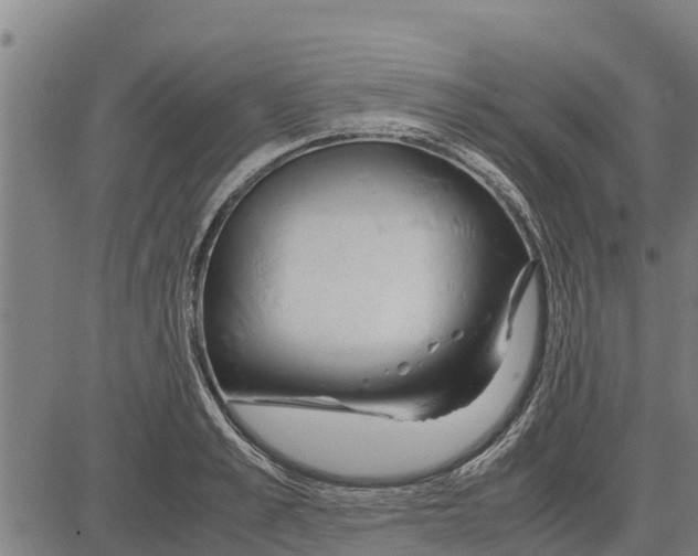 X0000083620989200703121624