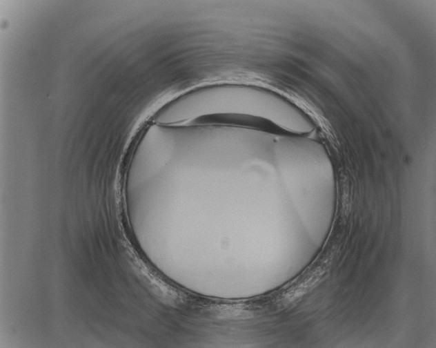 X0000083620990200703121624