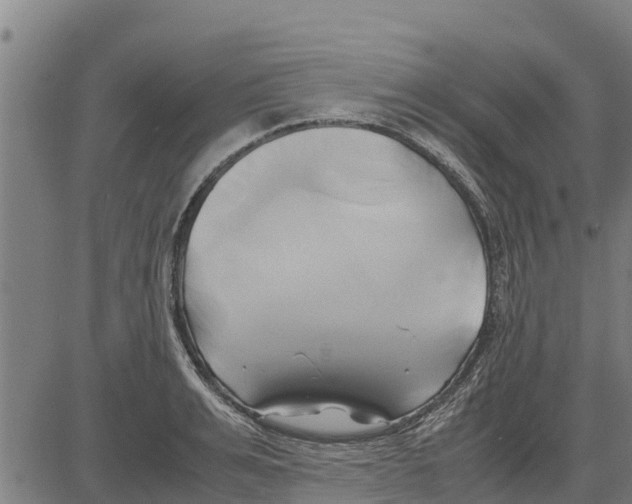 X0000083620991200703121624