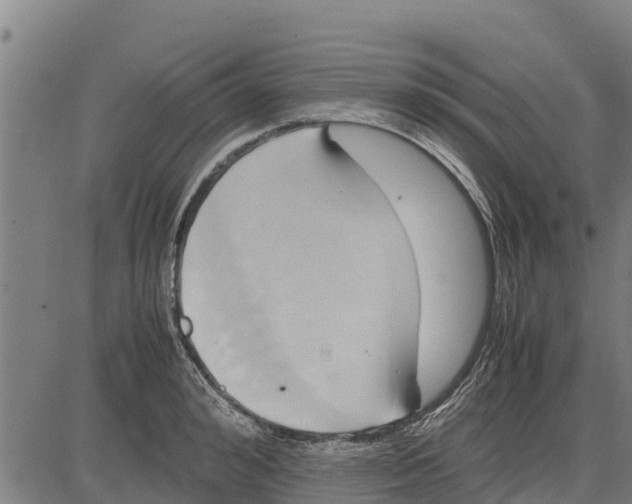 X0000083620992200703121624