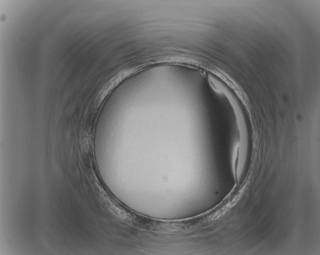 X0000083620993200703121624