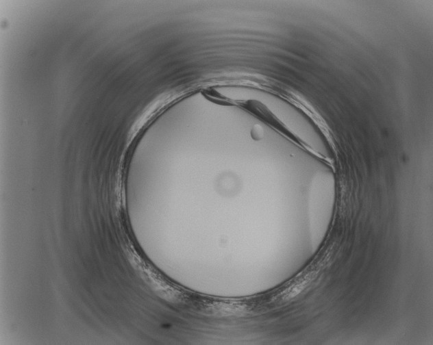 X0000083620994200703121624