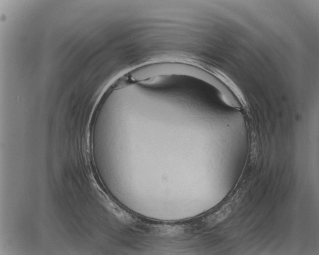 X0000083620996200703121624