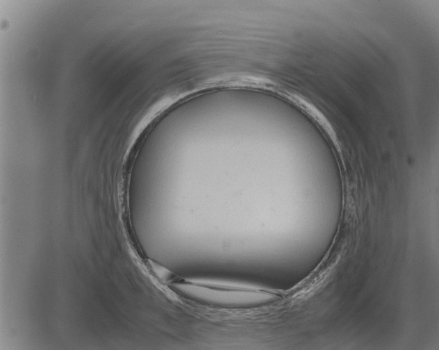 X0000083620997200703121624