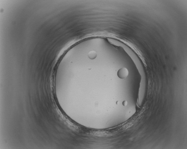 X0000083620998200703121624