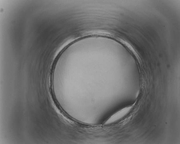 X0000083620999200703121623