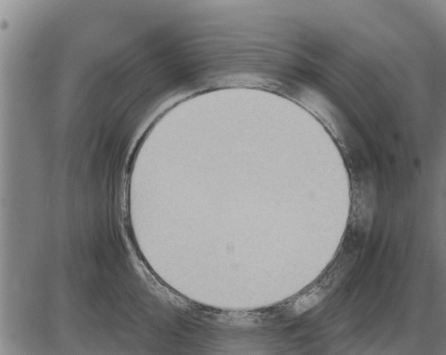 X0000083621000200703121623