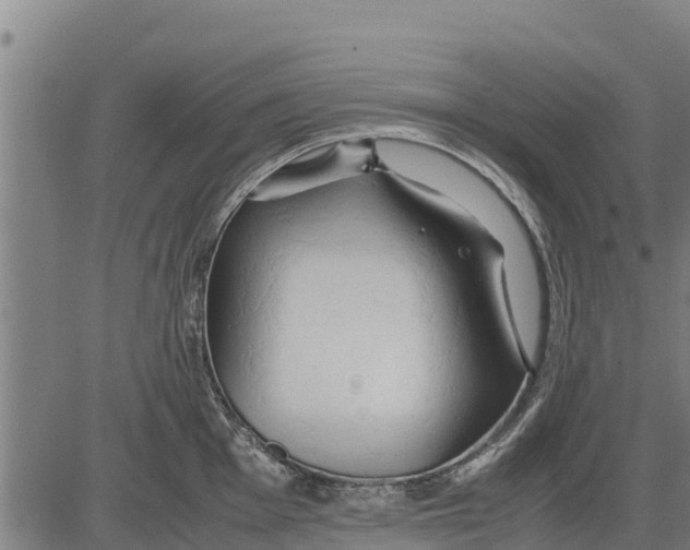 X0000083621001200703121623