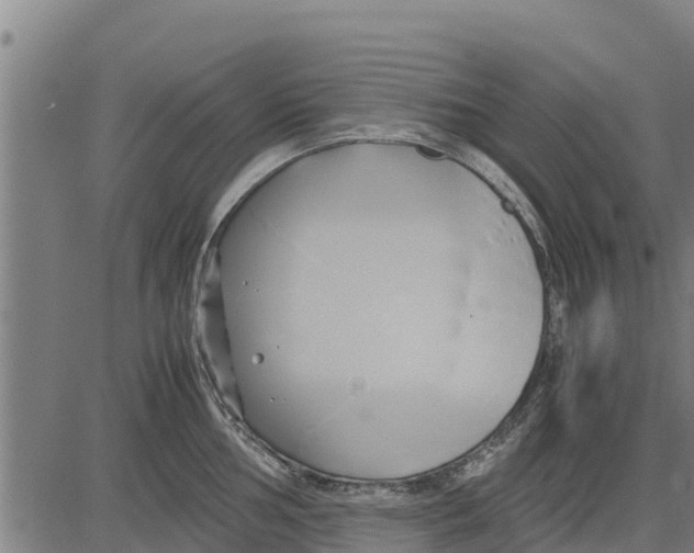 X0000083621002200703121623