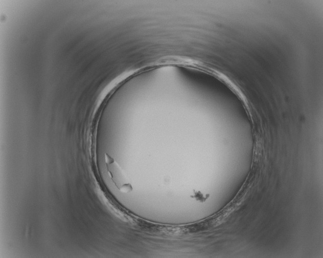 X0000083621003200703121623