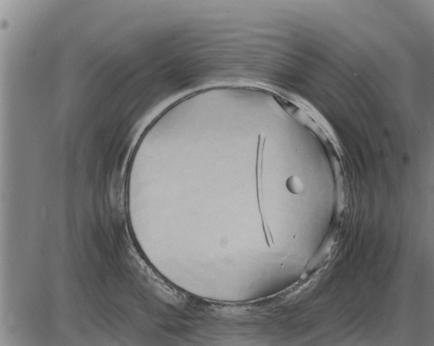 X0000083621004200703121623