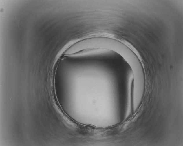 X0000083621005200703121623