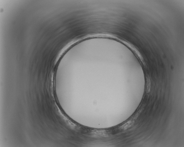 X0000083621006200703121623