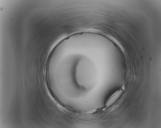 X0000083621007200703121623