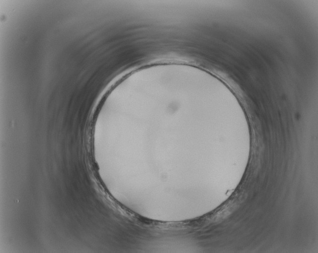 X0000083621008200703121623