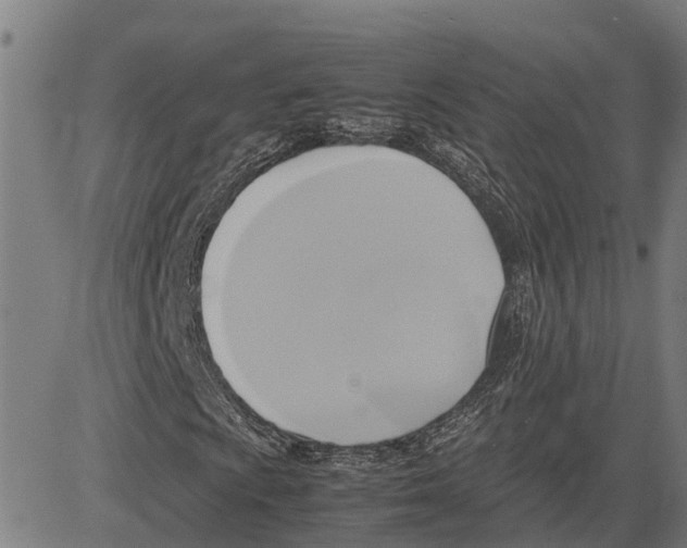 X0000083621009200703121623