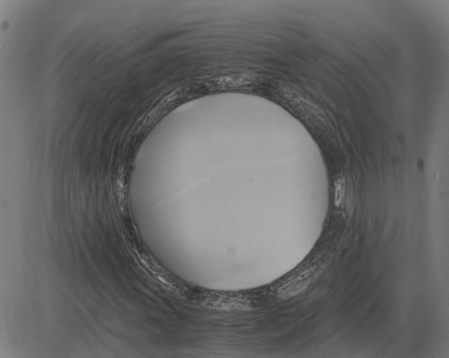 X0000083621011200703121623