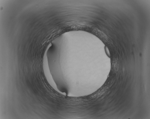 X0000083621012200703121623