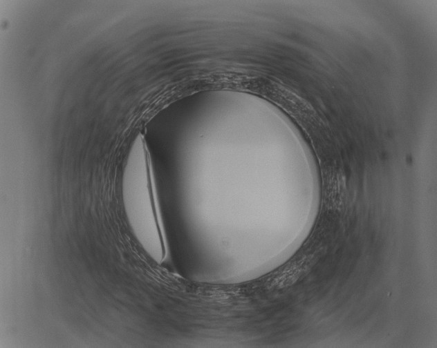 X0000083621013200703121623