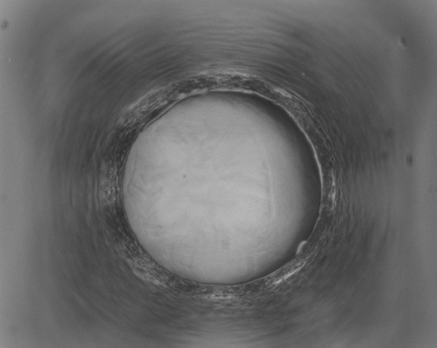 X0000083621014200703121623