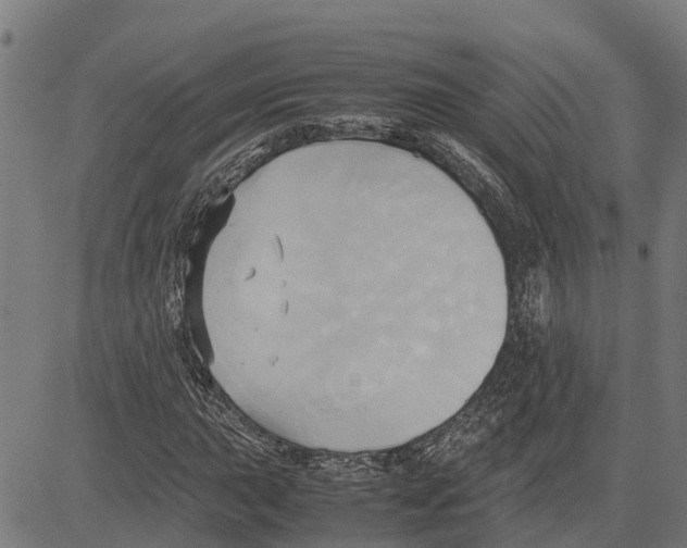 X0000083621015200703121623