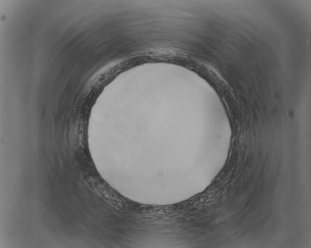 X0000083621016200703121623