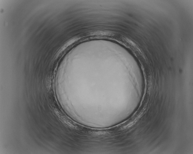 X0000083621017200703121623